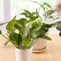 Paquete de 6 rociadores para botellas, pequeños recipientes de riego de plástico para plantas, aptos para botellas, riego de semillas y plántulas de jardín. - details 4