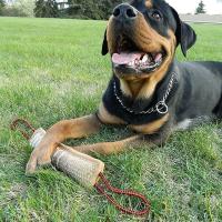 Calcetín de mordedura de perro de yute, juguete de mordedura de perro extra resistente, juguetes interactivos para perros medianos a grandes, ideal para tira y dura de la guerra - details 2