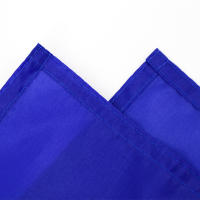 Bandera De La Unión Europea De 90x150 Cm Para Decoración Material Poliéster Estilo Colgante No Personalizada Origin China - details 4