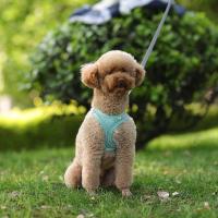 Juego De Correa Y Arnés Ajustable Para Perros Pequeños Vestido De Gato Pupilo Chihuahua Pug Bulldog Francesés Caminar Al Aire Libre - details 9