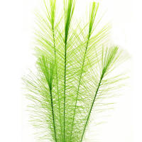Rama De Feathersimulación Para Decoración De Bodas Y Fiestas En Casa Y Acuario Material Plástico Origine China Continental - details 11