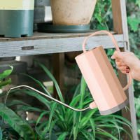 Regadera De Acero Inoxidable 1.2L Con Bocina Larga Para Riego De Plantas Y Flores Jarrón Curvo Herramienta De Jardinería - details 4