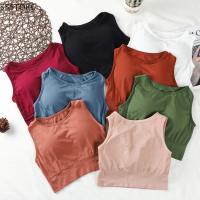 Sudadera Deportiva Para Mujer Sólida Yoga Top Con Almohadillas De Fitness Chaleco Activo Deporte Running Sportswear Transpirable Suave Y Cómoda - details 8