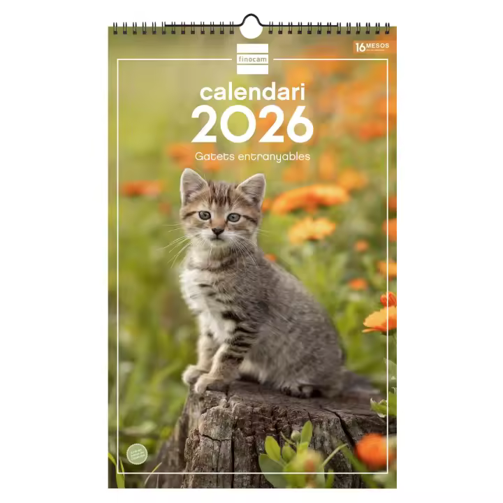 Finocam - Calendario Imágenes de Pared Espiral para Escribir 2026 Gatitos Enero 2026 - Diciembre 2026 (12 meses) + Sep.-Dic. 2025 (4 meses) reducidos Catalán - 1