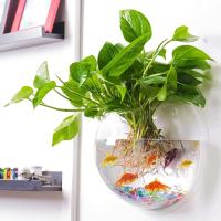 Acuario De Acrílico Para Pared Tanque De Pez Betta Y Exhibición Productos Para Mascotas Aquaticas Montaje En Pared - details 2
