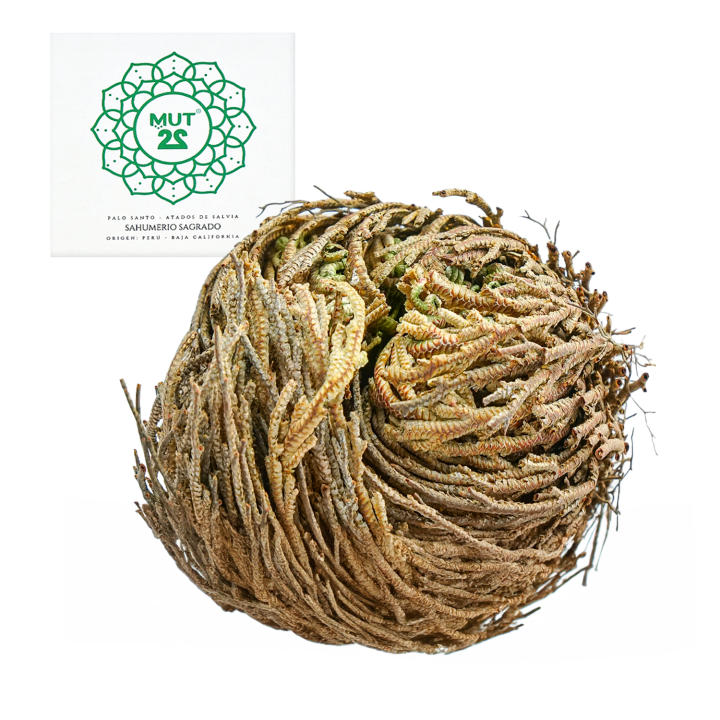 MUT22 Rosas de Jericó: Renacimiento Espiritual y Armonía en un Elegante Conjunto Floral