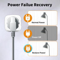 Interruptor Inteligente Ewelink WiFi EU Plug 16A/20A Con Monitoreo De Energía Y Función De Temporización Control Vocal Para Alexa Google Home Alice - details 6