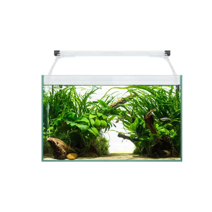 Ica Kit AQUA LIGHT Glass 40 - Acuario Transparente 25x23,5x40,7cm - 1