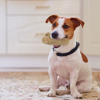 Juguetes Para Morder De Nylon Tejido En Red Para Perros Pequeños Y Medianos Anti-Rotura Suaves Para Aliviar La Ansiedad Y Aburrimiento - details 8
