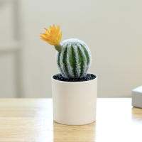 Cactus Artificial Con Flores Pequeño Plantas En Maceta De Plástico Para Decoración De Escritorio Hogar Y Habitaciones Estilo BONSAI - details 5