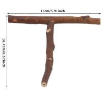 Juguete De Colgante Para Pájaros Madera Percha Para Periquito Con Bolas De Masticar Soporte De Sueño Para Cages Juguetes De Juego Para Pájaros Budgie - details 13