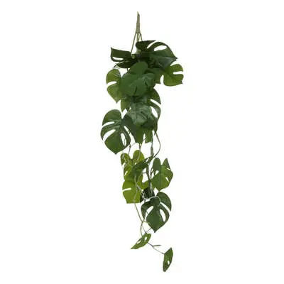 Factory Cuadros Planta Colgante Monstera - Decoración Moderna - 1