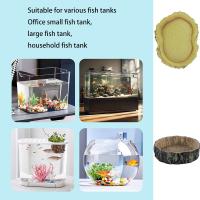 Tazón De Resina Para Reptiles Acuario De Alimentos Y Agua Para Tortugas Lagartos Escorpiones Caracoles Suministros De Mascotas Tipo De Alimento: Vegetal - details 2