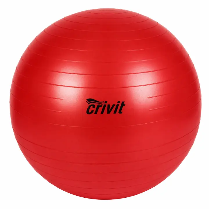 Pelota de gimnasia CRIVIT - 1
