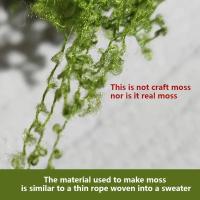 Moss Artificial De Jardín 20g/0.7oz Para Decoración Interior Y Exterior De Plantas Verdes Camuflaje De Mini Escenario De Jardín - details 0