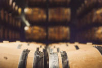 Anahí Blanco Joven Semi Dulce de Rioja: Un Homenaje Fresco y Goloso - details 1
