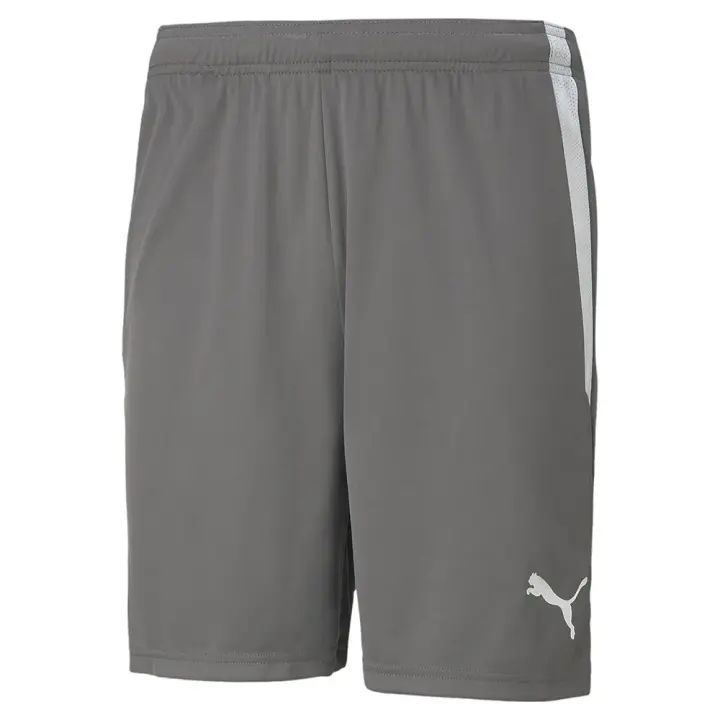 Ropa hombre Pantalones Puma Pantalones Cortos Teamliga Verde - 1