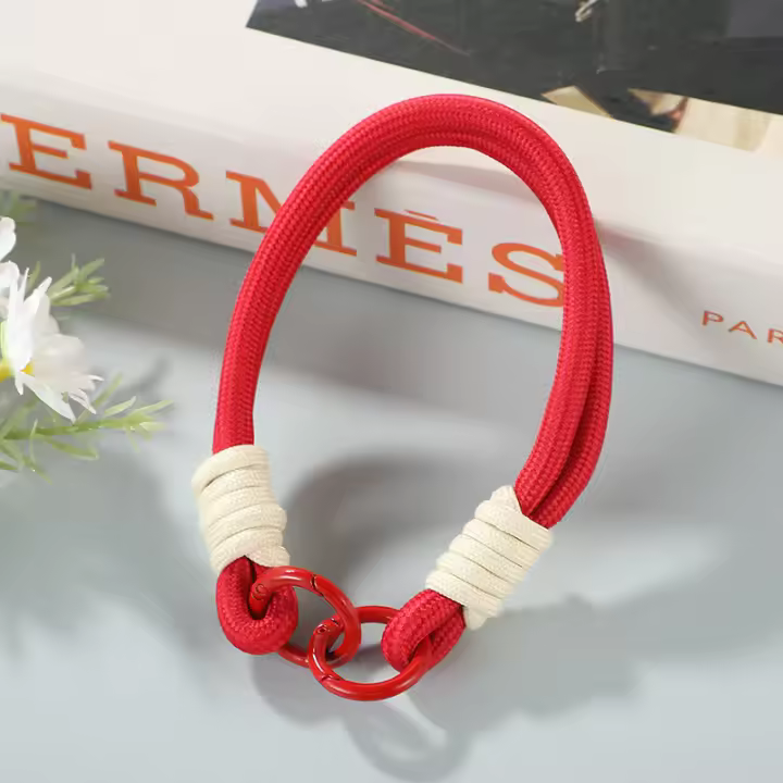 Cadena De Teléfono Lindo Y Colorido Accesorio Antipérdida Para Verano Cadena De Móvil Con Joyería Lanyard Para Adultos Unisex - 1