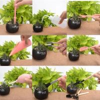 Kit De Herramientas De Jardinería Miniatura 16pcs Herramientas Manuales Para Plantar En Jardines Faeiries Material Plástico - details 4
