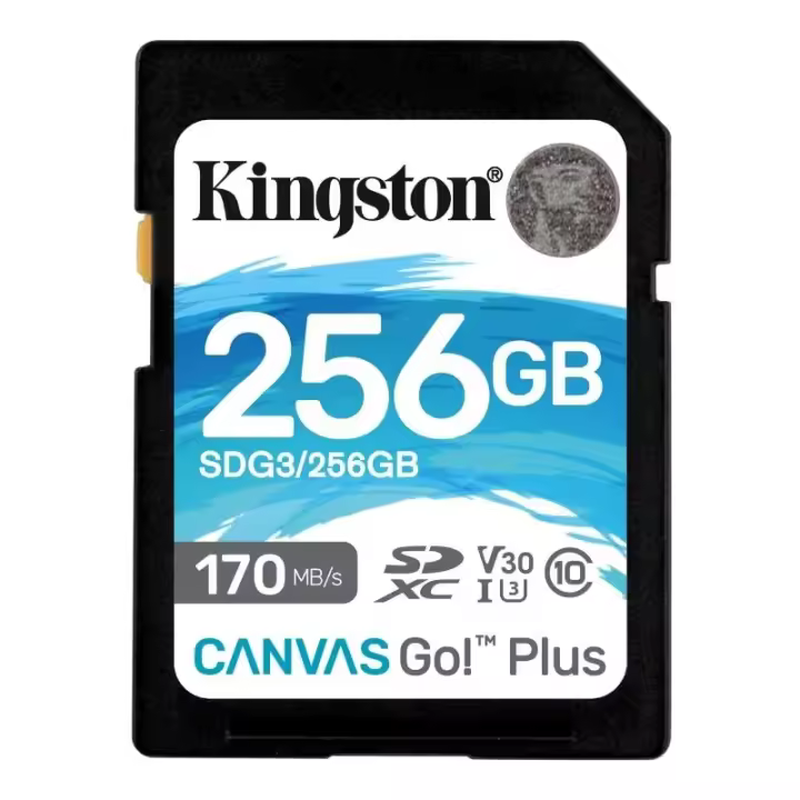 Kingston Canvas Go! Plus SD 256GB class 10 U3 V30 - 1