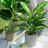 Pequeñas Plantas Artificiales En Maceta Para Decoración De Escritorio De Oficina Baño Hogar Estilo Bonsái Material Plástico - details 7