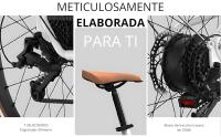 EMotorad Plymouth | Bicicleta Eléctrica Urbana para Adultos | Neumáticos CST 700C | Motor 36V 250W | Batería 420 Wh Extraíble | Cuadro Bajo de Aluminio | 5 Niveles de Asistencia - details 3