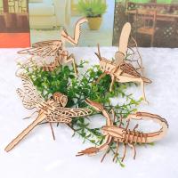 Puzzle 3D De Madera Con Insectos Multitudinario Juguete Educativo Avanzado Para Niños Modelo De Artesanía Creativa - details 1