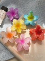 4PCS Clip Para El Cabello De Mujer Moda Con Flores Bohemia Accesorios Para El Cabello Grandes Barrettes Para Vacaciones - details 0