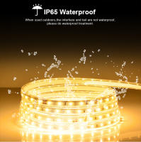 Tira De Luces LED Flexible 110V 220V Impermeable Para Exterior Con Enchufe EU/US Decoración De Jardín 1M/2M/5M/10M/15M/20M 5050 SMD Luz Blanca Cálida Y Natural - details 2