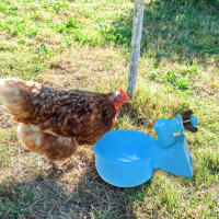 Copa De Agua Automática Para Pollos 6/12/18Pcs Bebedero De Granja Ponedero Para Pato Ganso Cocho Cisne Y Codorniz - details 0