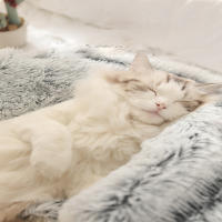 Cama De Gato Redonda De Peluche Suave With Capucha Para Mascotas - details 3