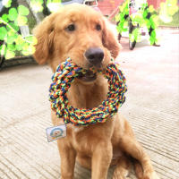 Juguete Para Perros Mordedor De Algodón Resistentes Para Pequeños Y Medianos Canes Juguete Molar De Lino Para Masticar - details 0