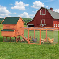 PawHut Gallinero de Madera Grande Exterior, Caseta para Gallinas con 2 Nidos, Corral, Techo Asfáltico, Bandeja Extraíble y Rampa, Casa Elevada para 4-6 Gallinas, Conejos, 347x160x150 cm, Naranja - details 1