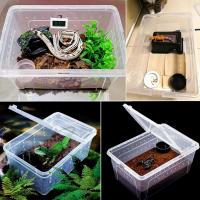 Caja De Cría De Reptiles Transparente Terrario Para Tortugas Geckos Sapos Transporte De Animales Habitaci\u00f3n Plástico - details 2