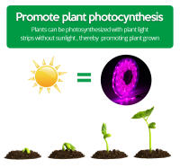 Luz De Crecimiento Para Plantas USB 5V LED Espectro Completo Para Invernadero Sistema De Cultivo Acuático Phytolamp Verde - details 7