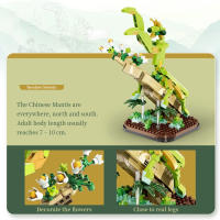 Bloques De Construcción De Serie Mundial De Insectos Muñeco Mariposa Y Mantis Modelos De Insectos Para Decoración De Escritorio Juguetes Para Adultos - details 4
