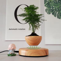 Maceta Flotante Magnética Levitación Para Plantas Sin Tierra Maceta De Rotación Para Decoración Del Hogar Con Diseño De Bonsái - details 15
