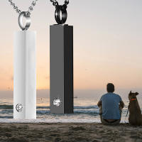 Collar De Memoria Para Hombres Y Mujeres Joyería De Cremación Con Pendentivo De Barra En Acero Inoxidable Para Restos De Animales Pequeños - details 0