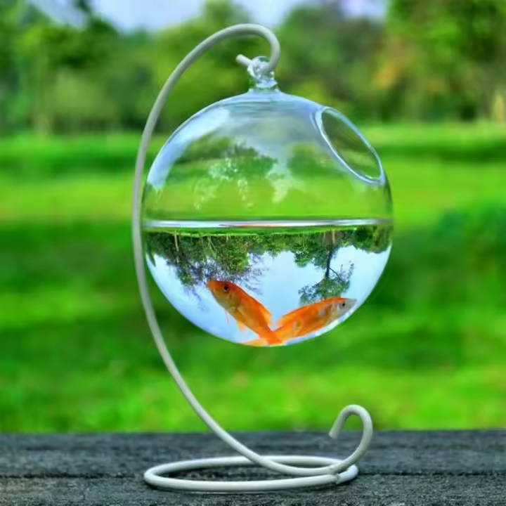 Acuario De Vidrio Transparente Con Soporte Para Decoración De Hogar Forma Redonda/Cuadrada Vaso De Peces Con Soporte De Colgante - 1