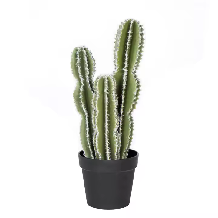 Nortene | Planta Artificial Cactus Castillo De Hadas 62 Cm Nortene | Ideal Para Decoración | Planta Artificial Grande Y Realista | Aporta Un Toque Natural A Tu Hogar - 1