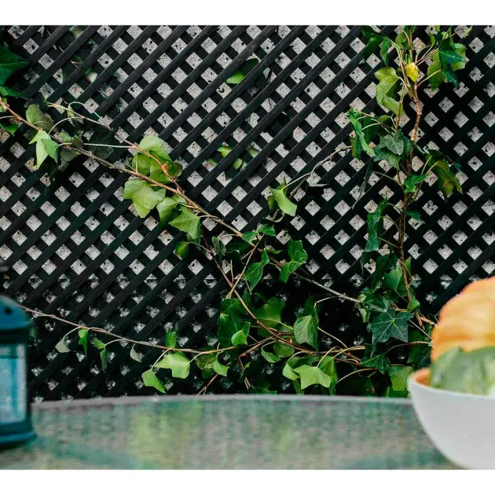 Nortene | Celosia Pvc 18mm 1x2 Antracita Nortene | Decoración Para Terraza Y Jardín | Ideal Para Ambientes Elegantes | Diseño Decorativo - 1