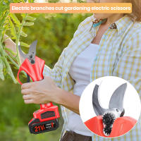 30mm Podadora eléctrica inalámbrica de 21V, tijeras de podar eficientes para árboles frutales, bonsái, 600W,cortador de ramas, herramienta de paisajismo - details 4