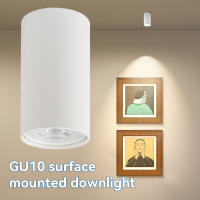 Bombilla LED GU10 Interchangeable 110V/220V Lámpara De Techo Montada En Superficies Para Dormitorio Sala De Estar Tienda Hogar Spotlights LED - details 10