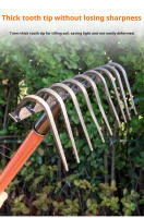 Rake Multifuncional De Acero Mángano Resistente Y Duradero Para Jardín Herramienta Agrícola Con Mango De Madera Outil De Jardinage - details 5