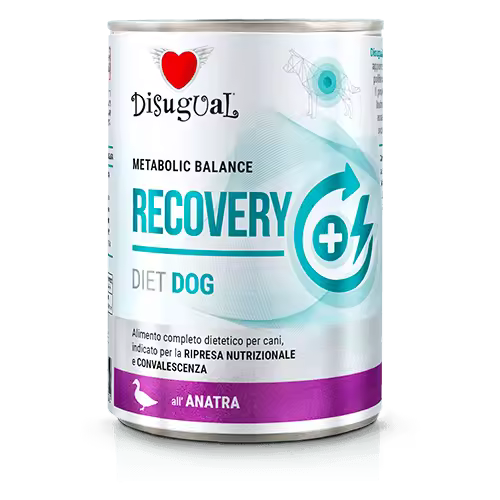 Disugual Perros en recuperación sabor Pato 400 gr - 1