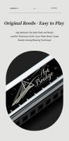 Harmonica Blues De 10 Agujeros En Clave C Con Estuche Diatónica Para Jugador Profesional Principiante Estudiantes Regalos Para Adultos - details 9