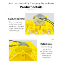 Incubador De Huevos Automático 16/24 Huevos AC220V Herramienta De Incubación Para Pollos Pájaros Y Cochinillos En Granja - details 10