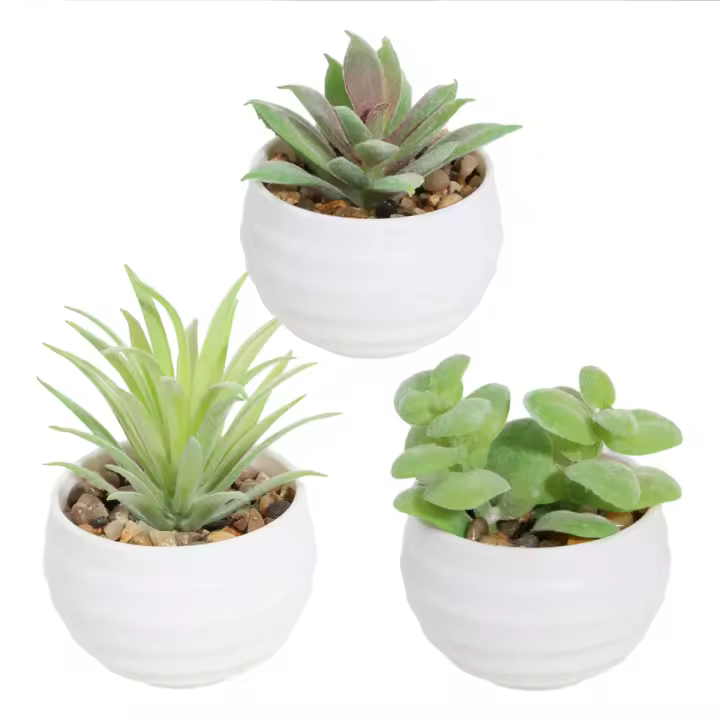 XIYA FLOWER Plantas Artificiales En Maceta De PE Y PP Para Decoración De Hogar Y Fiestas Plantas De Juego De 6 Piezas Estilo Grama - 1