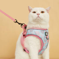 Nueva Llegada De Correa Y Amigo De Mascota Ajustable Con Diseño Moda En Malla Suave Para Gatos Y Perros Conjunto De Correa Y Amigo De Mascota - details 7