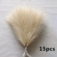 15pcs Bouquet De Pampas Artificial Para Decoración De Casamiento Y Fiestas DIY Flores De Planta Falsa Para Vaso Decorativo - details 8